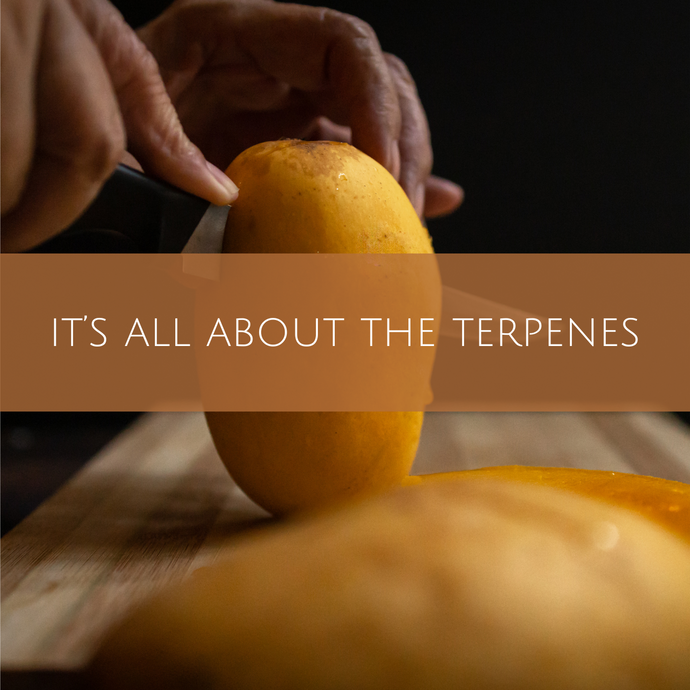 It's all about the terpenes