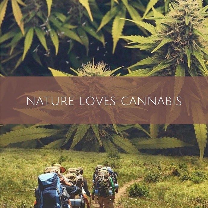 Nature loves cannabis