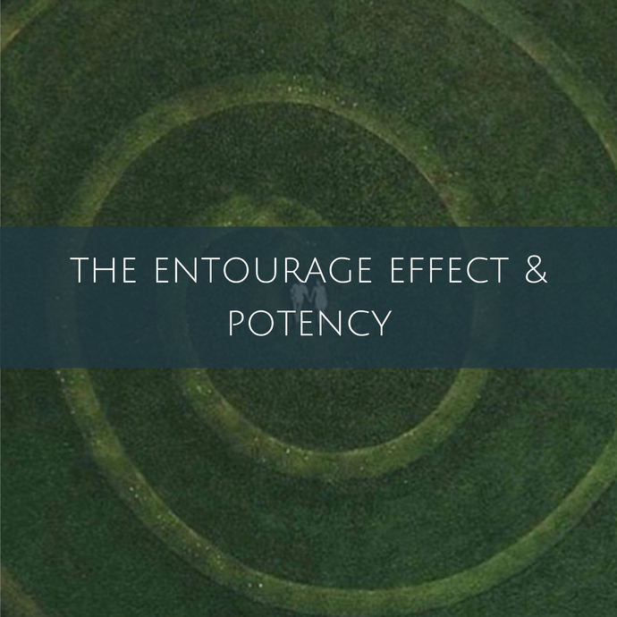 The entourage effect and potency
